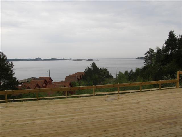 Lind 006Lind 006 001 (Small)_0
